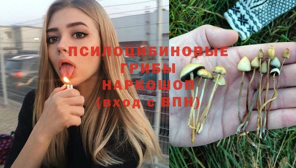 спайс Абдулино